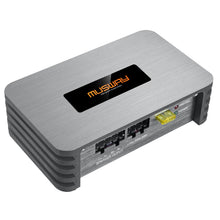 P2   2-Channel Micro Full Range Class D Amplifier